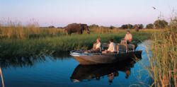 Botswana''s Timeless Wilderness 2015
